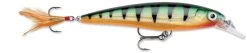 Rapala X-Rap 08 Medium Diving Jerkbait -Daiwa Store 12381495164983
