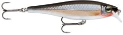 Rapala Balsa Xtreme BX Minnow 10 Medium Diving Jerkbait 19 Rapala Balsa Xtreme BX Minnow 10 Medium Diving Jerkbait -Daiwa Store 12582631931959