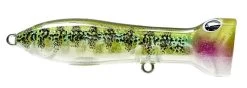 Nomad Design Chug Norris Freshwater/Inshore Popper -Daiwa Store 12674578841655