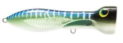 Nomad Design Chug Norris Freshwater/Inshore Popper -Daiwa Store 12674579234871