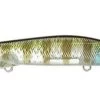 Jackall I-Prop 75 Spybait -Daiwa Store 12984626511927