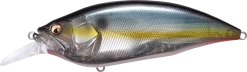 Megabass Big-M 4.0 Magnum Deep Diving Crankbait -Daiwa Store 14412821102647