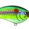SPRO John Crews Little John 50 Shallow Crankbait 1 SPRO John Crews Little John 50 Shallow Crankbait -Daiwa Store 1 9ecc99eb e30b 494c aaa8 8727749b350c
