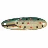 Acme Kastmaster Spoon 1/4 Oz. -Daiwa Store 31456069156953