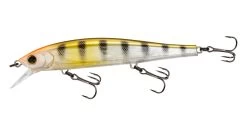 Yo-Zuri 3DB Jerkbait 110 22 Yo-Zuri 3DB Jerkbait 110 -Daiwa Store 32233071345753