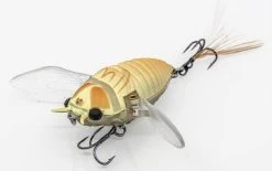 Chasebaits Ripple Cicada 1 3/4 Inch Wakebait Crawler 11 Chasebaits Ripple Cicada 1 3/4 Inch Wakebait Crawler -Daiwa Store 32233146843225