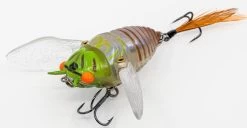 Chasebaits Ripple Cicada 1 3/4 Inch Wakebait Crawler 12 Chasebaits Ripple Cicada 1 3/4 Inch Wakebait Crawler -Daiwa Store 32233146875993