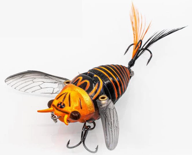 Chasebaits Ripple Cicada 1 3/4 Inch Wakebait Crawler 7 Chasebaits Ripple Cicada 1 3/4 Inch Wakebait Crawler - Image 5