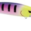 SPRO MadEye Minnow 120 Deep Diving Walleye Trolling Lure 2 SPRO MadEye Minnow 120 Deep Diving Walleye Trolling Lure -Daiwa Store 32339518554201