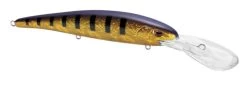 SPRO MadEye Minnow 120 Deep Diving Walleye Trolling Lure 27 SPRO MadEye Minnow 120 Deep Diving Walleye Trolling Lure -Daiwa Store 32339518783577