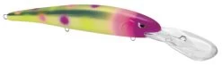 SPRO MadEye Minnow 120 Deep Diving Walleye Trolling Lure 29 SPRO MadEye Minnow 120 Deep Diving Walleye Trolling Lure -Daiwa Store 32339518849113