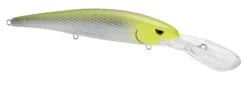 SPRO MadEye Minnow 120 Deep Diving Walleye Trolling Lure 30 SPRO MadEye Minnow 120 Deep Diving Walleye Trolling Lure -Daiwa Store 32339518881881
