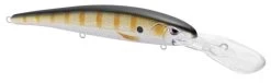 SPRO MadEye Minnow 120 Deep Diving Walleye Trolling Lure 32 SPRO MadEye Minnow 120 Deep Diving Walleye Trolling Lure -Daiwa Store 32339518947417
