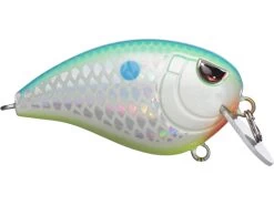 SPRO John Crews Baby Fat John 50 Shallow Crankbait -Daiwa Store 32341722792025