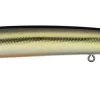 Daiwa Steez Custom HMKL Minnow Jerkbait -Daiwa Store 39553567490137