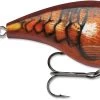 Rapala BX Mid-Brat 05 Squarebill Crankbait -Daiwa Store 39740178038873