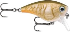 Rapala BX Mid-Brat 05 Squarebill Crankbait 20 Rapala BX Mid-Brat 05 Squarebill Crankbait -Daiwa Store 39740178104409