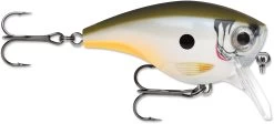 Rapala BX Mid-Brat 05 Squarebill Crankbait 22 Rapala BX Mid-Brat 05 Squarebill Crankbait -Daiwa Store 39740178169945