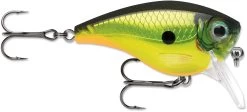 Rapala BX Mid-Brat 05 Squarebill Crankbait 26 Rapala BX Mid-Brat 05 Squarebill Crankbait -Daiwa Store 39740178301017