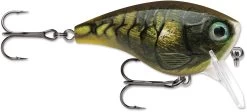 Rapala BX Mid-Brat 05 Squarebill Crankbait 28 Rapala BX Mid-Brat 05 Squarebill Crankbait -Daiwa Store 39740178366553