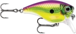 Rapala BX Mid-Brat 05 Squarebill Crankbait 30 Rapala BX Mid-Brat 05 Squarebill Crankbait -Daiwa Store 39740178432089