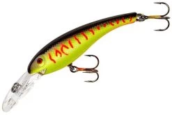 Cotton Cordell Wally Diver Suspending Walleye Lure -Daiwa Store 40303954427993