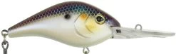 Berkley Dredger Deep Diving Crankbait Deeper Diving Models -Daiwa Store 40325002985561