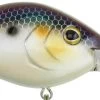 Berkley Dredger Deep Diving Crankbait Deeper Diving Models 1 Berkley Dredger Deep Diving Crankbait Deeper Diving Models -Daiwa Store 40325003018329
