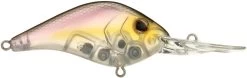 Berkley Dredger Deep Diving Crankbait Deeper Diving Models -Daiwa Store 40325003247705