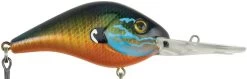 Berkley Dredger Deep Diving Crankbait Deeper Diving Models -Daiwa Store 40325003313241