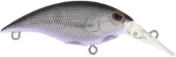 Berkley Money Badger Trolling Plug / Crankbait -Daiwa Store 40326907199577