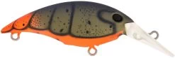 Berkley Money Badger Trolling Plug / Crankbait -Daiwa Store 40326907363417