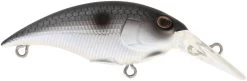 Berkley Money Badger Trolling Plug / Crankbait -Daiwa Store 40326907461721