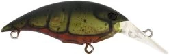 Berkley Money Badger Trolling Plug / Crankbait -Daiwa Store 40326907560025