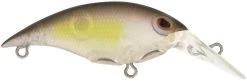 Berkley Money Badger Trolling Plug / Crankbait -Daiwa Store 40326907625561
