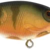 Berkley Money Badger Trolling Plug / Crankbait 1 Berkley Money Badger Trolling Plug / Crankbait -Daiwa Store 40326907953241