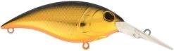 Berkley Money Badger Deep Diving Trolling Plug / Crankbait 25 Berkley Money Badger Deep Diving Trolling Plug / Crankbait -Daiwa Store 40326922535001