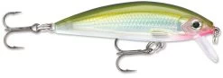 Rapala X-Rap CountDown 05 Jerkbait -Daiwa Store 8353333510199