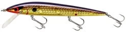 Smithwick Elite 8 Rogue 4 1/2 Inch Suspending Jerkbait 19 Smithwick Elite 8 Rogue 4 1/2 Inch Suspending Jerkbait -Daiwa Store ADR4213 427dcaa6 8bc9 4645 9527 5e6203b63ad1