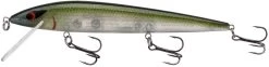 Smithwick Elite 8 Rogue 4 1/2 Inch Suspending Jerkbait 15 Smithwick Elite 8 Rogue 4 1/2 Inch Suspending Jerkbait -Daiwa Store ADR4281