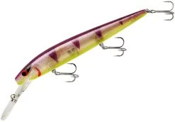 Smithwick Top 20 Rogue 5 1/2 Inch Extra Deep Diving Trolling Minnow/Jerkbait -Daiwa Store ADRD5289