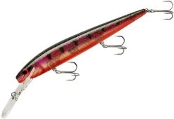 Smithwick Top 20 Rogue 5 1/2 Inch Extra Deep Diving Trolling Minnow/Jerkbait -Daiwa Store ADRD5294