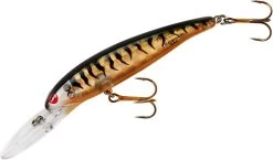 Bomber Deep Long A Minnow 24A 25A Jerkbait/Trolling Hard Minnow -Daiwa Store B24AGPTBRO