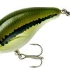 Bandit 100 Series Shallow Diving Crankbait -Daiwa Store BDT101