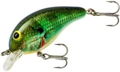 Bandit 100 Series Shallow Diving Crankbait -Daiwa Store BDT1B38