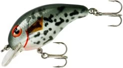 Bandit 100 Series Shallow Diving Crankbait -Daiwa Store BDT1D38