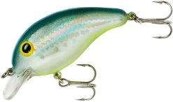 Bandit 100 Series Shallow Diving Crankbait -Daiwa Store BDT1D67