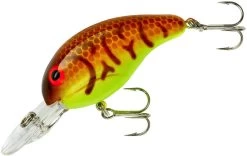 Bandit 200 Series Medium Diving Crankbait -Daiwa Store BDT241