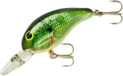Bandit 200 Series Medium Diving Crankbait -Daiwa Store BDT2B38