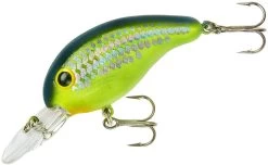 Bandit 200 Series Medium Diving Crankbait -Daiwa Store BDT2D66